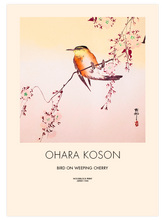 Ohara Koson Bird on Weeping Cherry - Art Print